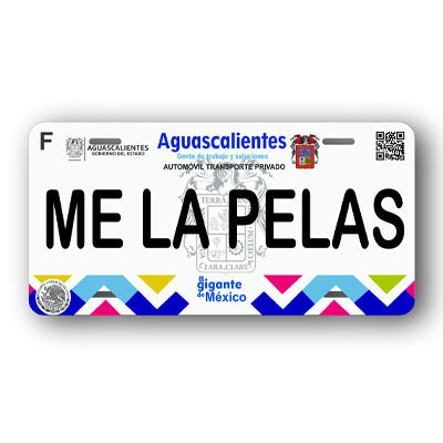 Placa Personalizada con Tu Nombre o Frase | Disponible en Cualquier Estado | MEXICO, USA, CENTRO AMERICA - Regalo Exclusivo