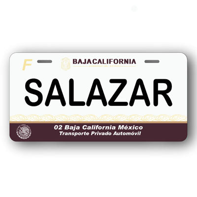 Placa Personalizada con Tu Nombre o Frase | Disponible en Cualquier Estado | MEXICO, USA, CENTRO AMERICA - Regalo Exclusivo