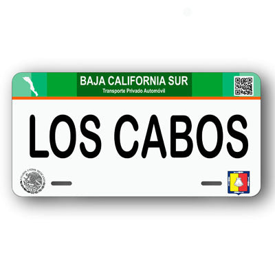 Placa Personalizada con Tu Nombre o Frase | Disponible en Cualquier Estado | MEXICO, USA, CENTRO AMERICA - Regalo Exclusivo