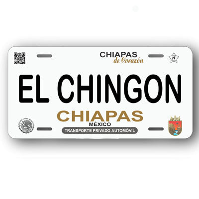 Placa Personalizada con Tu Nombre o Frase | Disponible en Cualquier Estado | MEXICO, USA, CENTRO AMERICA - Regalo Exclusivo