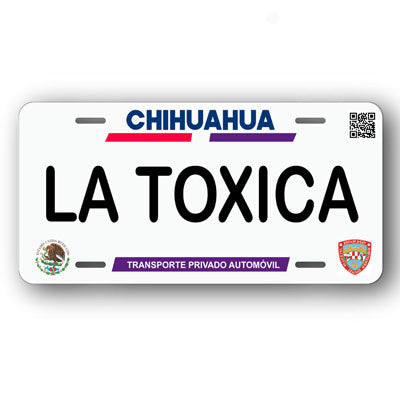 Placa Personalizada con Tu Nombre o Frase | Disponible en Cualquier Estado | MEXICO, USA, CENTRO AMERICA - Regalo Exclusivo