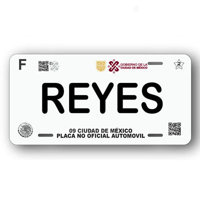 Placa Personalizada con Tu Nombre o Frase | Disponible en Cualquier Estado | MEXICO, USA, CENTRO AMERICA - Regalo Exclusivo