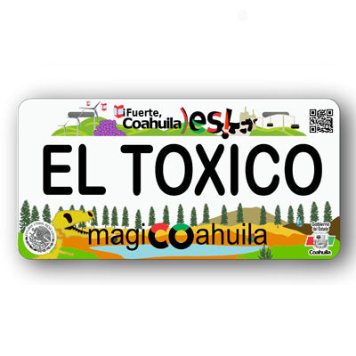 Placa Personalizada con Tu Nombre o Frase | Disponible en Cualquier Estado | MEXICO, USA, CENTRO AMERICA - Regalo Exclusivo