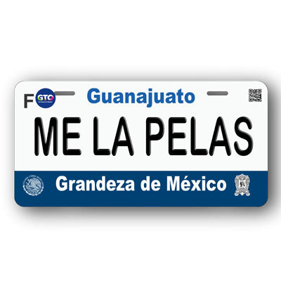 Placa Personalizada con Tu Nombre o Frase | Disponible en Cualquier Estado | MEXICO, USA, CENTRO AMERICA - Regalo Exclusivo