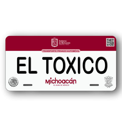 Placa Personalizada con Tu Nombre o Frase | Disponible en Cualquier Estado | MEXICO, USA, CENTRO AMERICA - Regalo Exclusivo