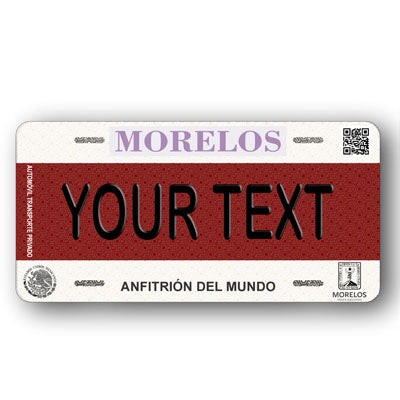 Placa Personalizada con Tu Nombre o Frase | Disponible en Cualquier Estado | MEXICO, USA, CENTRO AMERICA - Regalo Exclusivo