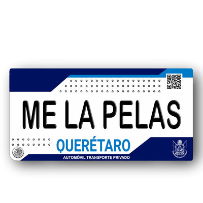 Placa Personalizada con Tu Nombre o Frase | Disponible en Cualquier Estado | MEXICO, USA, CENTRO AMERICA - Regalo Exclusivo