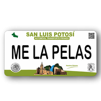 Placa Personalizada con Tu Nombre o Frase | Disponible en Cualquier Estado | MEXICO, USA, CENTRO AMERICA - Regalo Exclusivo