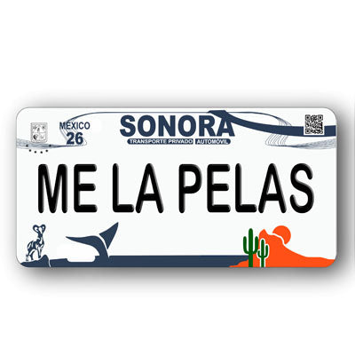 Placa Personalizada con Tu Nombre o Frase | Disponible en Cualquier Estado | MEXICO, USA, CENTRO AMERICA - Regalo Exclusivo