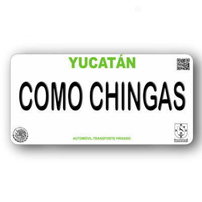 Placa Personalizada con Tu Nombre o Frase | Disponible en Cualquier Estado | MEXICO, USA, CENTRO AMERICA - Regalo Exclusivo